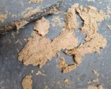 A picture of step 2 of Beef Shami Kabab.