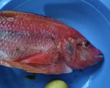 Foto langkah ke 1 dari resep Ikan Nila Goreng.