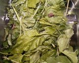 Foto del passaggio 2 della ricetta Frittata di borragine e giri con decorazioni pomodorini e Philad