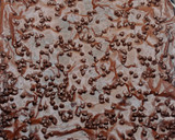 Foto langkah ke 3 dari resep Fudgy Brownies Shiny Crust.