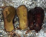 Foto del paso 4 de la receta: Berenjenas y zucchinis a la parrilla / menú vegano