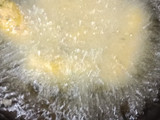 Rice cutlets