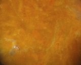 Foto del paso 3 de la receta: Almejas a la marinera 2