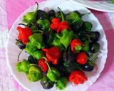 Foto del paso 3 de la receta: Ensalada de chiles asados con vegetales orgánicos y especias