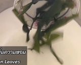 รูปขั้นตอนการทำที่ 5 ของ บัวลอยมะพร้าวอ่อน