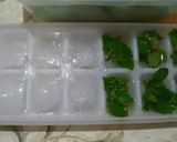 Foto langkah ke 2 dari resep Cara Menyimpan Daun Mint.