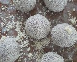 Foto langkah ke 7 dari resep Snack Frozen - Onde Onde.
