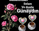صورة لخطوة 6 من وصفة التوست المحمص بالزبدة مع الطماطم والجبنة