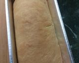 A picture of step 4 of Homemade white bread.