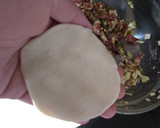 Foto del paso 13 de la receta: Gyoza de cerdo