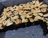 Foto langkah ke 10 dari resep Brownies ambyar.