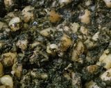 मेथी आलू की सब्जी (methi aloo ki sabzi recipe in Hindi) रेसिपी चरण 5 फोटो