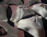 Foto del paso 5 de la receta: Empanadas árabes