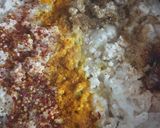 A picture of step 2 of Chicken mince filling.