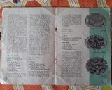 Foto del paso 5 de la receta: Magdalenas (Madeleines)