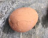 A picture of step 1 of Trick: How to peel a hard boiled egg.