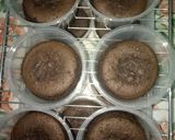 Foto langkah ke 7 dari resep 09. Black Forest coklat blue bird🍮.