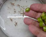 Ghens (Broken rice porridge) recipe step 2 photo