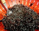 Foto del paso 1 de la receta: ʜᴀᴍʙᴜʀɢᴜᴇsᴀ ᴅᴇ ᴀʀʀᴏᴢ  ɴᴇɢʀᴏ, ϙᴜɪɴᴏᴀ, ᴢᴀᴘᴀʟʟᴏ ʏ  ᴍᴀɴᴢᴀɴᴀ ᴅɪsᴇᴄᴀᴅᴀ