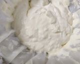 A picture of step 1 of Shrikhand.