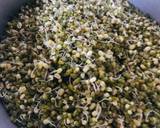 Whosaynas Veggies and Bean Sprouts Samosas recipe step 1 photo