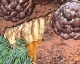 Фото кроку 3 до Торт «Пеньок» вертикальний.
