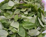 A picture of step 1 of Green Amaranth Leaves Curry | Thotakura.