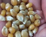 Hình bước làm 1 của món Bắp rang bơ