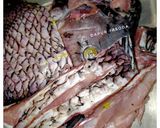 Foto langkah ke 1 dari resep Gulai Ikan Gurameh.