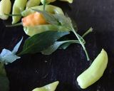 Foto del paso 15 de la receta: Chacarero