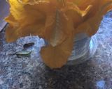 Foto del passaggio 1 della ricetta Fiori di zucca ripieni e fritti