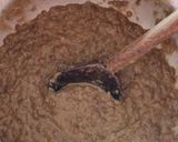 A picture of step 5 of Masar chawal.