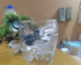 Foto langkah ke 2 dari resep Java Iced Tea.