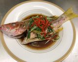 🐟年年有魚🐟港式清蒸黃記仔的食譜步驟9照片