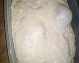 Foto del paso 7 de la receta: Cómo lograr una buena Masa sin amasar? Masa de Alta Fermentación