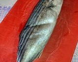 Foto del paso 1 de la receta: Lomo de bonito marinado en sal granulada y fish masala