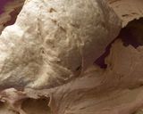 A picture of step 7 of Cookies.
