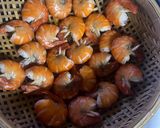 Hình bước làm 1 của món Mì gói xào tôm