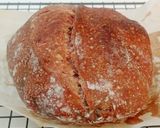 Foto langkah ke 22 dari resep Blue Spirulina Angkak Sourdough Bread.