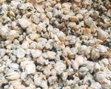 Hình bước làm 1 của món Canh hến mồng tơi
