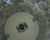 காலிபிளவர் தால் ரெசிபி ஸ்டேப் 1 புகைப்படம்