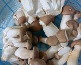 Hình bước làm 2 của món Thịt ức gà xào nấm