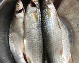 Hình bước làm 1 của món Cá Đối chiên mắm xoài