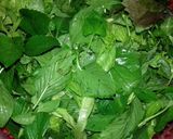 Hình bước làm 5 của món Gỏi Cuốn Chay Bánh Tráng Lứt