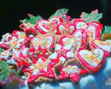 صورة لخطوة 10 من وصفة كوكيز الشوفان والشوكولا 🍫🍫