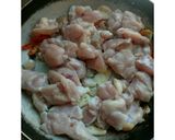 Foto langkah ke 3 dari resep Bihun goreng ayam manis pedas.