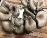 Gyömbéres kenyérfa pörkölt recept fázis 3 fotója