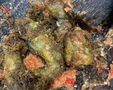 Foto langkah ke 3 dari resep Ayam Geprek Mantap.