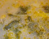 Foto del paso 4 de la receta: Fumet de pescado
