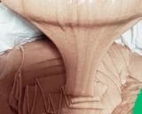 Foto del passaggio 1 della ricetta Torta con cacao e noci